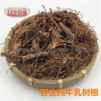 Chaoshan Wild Soup material White flower milk tree root Milk tree root pure root sulfur-free 500g