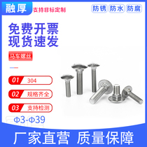 304 stainless steel carriage bolt semicircular big head square neck screw shelf screw flat head square screw M6M8M10