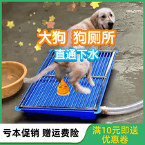 Golden hair dog dog toilet dog toilet through sewer Teddy medium large dog direct flush pet urine Basin