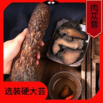 Authentic Xinjiang Cistanche New Stock 500g Golden Lock Yang Big and Sliced Bulk Chinese Herbal Medicine Bubble Wine