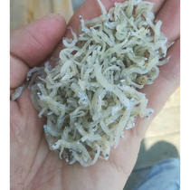 Fujian fresh and unsalted dry clove fish snacks instant silver fish Lianjiang specialty small fish larvae 250g