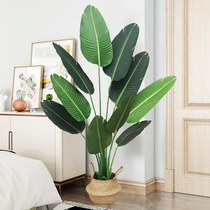 Simulation green plant Potted Nordic fake plant Travellers Banana Decorative Tortoise Back Leaves of wind Living room Large indoor pendulum