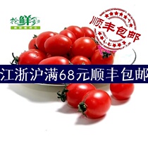 Fresh Fruit Mini Small Tomatoes Holy Women Fruits Millennial Fruit Cherry Tomato Vegetable Fruit Salad 450g