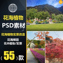 CCX001 beautiful country flower sea terrace psd renderings rural tourism landscape planning and design material Library