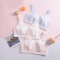 Twelve-year-old girl lingerie hair growing period 9 Pupils 13 children bra pure cotton female eldest child 8 little girls vest 15