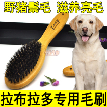 Labrador special comb comb artifact dog hair to floating hair brush hair loss puppy hair comb shaving