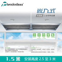 Theodoor embedded ceiling machine series Commercial remote control hot and cold dual-use electric heating air curtain
