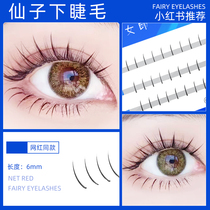 Little Red Book Fairy Fairy Fairy Lower Eyelashes Womens Single Clusters Grafted Segmented Eyelashes Natural Hair Single Root