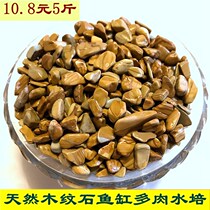 Natural wood grain stone striped stone white stone head cobblestones colorful stone multi-meat decorated paved with water-peed fish tank