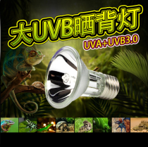 NOMOYPET full spectrum solar lamp UVA UVB3 0 amphibious l tortoise reptile box halogen lamp heating lamp