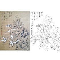 Gongbi painting white sketch background draft Bamboo Chu Yanchun retro style flowers and birds physical print draft size optional CY30