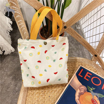 Summer fresh handbag womens casual wild work tote bag Light portable literary shopping hand carry small bag
