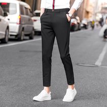 Rich Gui Bird Spring Summer Long Pants Male Korean version 90% Western pants pure color 100 Lap Work Pants Fashion Small Feet Casual Pants Men