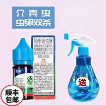 Fairy flower 6% Avi acetamiprid scale insect insecticide