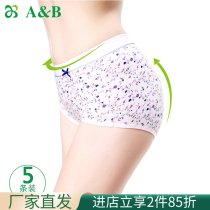 (5 Dress) AB Underpants Combed Cotton High Waist Antibacterial Flat Angle Pants Elastic Mommy Pants Big Code Briefs 0108
