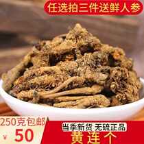 Sichuan Huanglian 250g Chinese herbal medicine chicken feet Lotus Lotus Chuanlian three yellow contiguous pieces of water can be ground yellow lotus powder