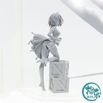 Book AMAKUNI HobbyJAPAN HJ Sophies Studio Sophie Swimsuit Ver hand-made