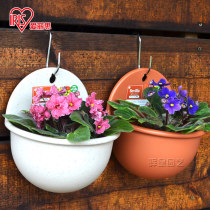 Alice flowerpot wall-mounted resin plastic multi-meat basket balcony green chloropicam hanging pot planting flowers Alice half-wall