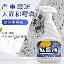 Dibokang wall mildew remover Wall mildew removal Ceiling mildew wood furniture mildew removal cleaner