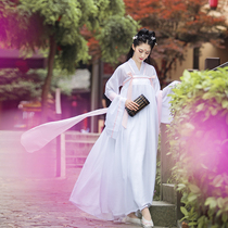 New costume Chinese style female Chinese style chest skirt girl Han element wide sleeve flowing fairy dress classical dance costume