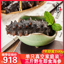 Xiaoqin Aquatic Dalian ready-to-eat sea cucumber Deep sea thorn ginseng 1500g single pack Liao Ginseng family section