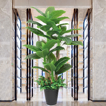 Fake Plant Potted Large Banana Tree Living Room Simulation Green Planting Decoration Indoor Plastic Plantain Tree Simulation Tree Pendulum