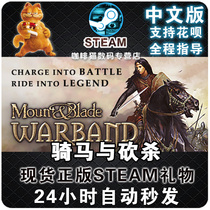 PC Chinese steam genuine game horse riding and slashing Battle Group