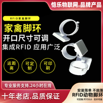 RFID animal foot ring Chicken foot ring UHF long distance RFID two-dimensional code anti-counterfeiting chicken foot ring