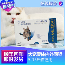 Big Favorite Cat Pooch Body In Vitro Insect Repellent Blue Cat Orange Cat Teddy Golden Hair Special Insect Repellent to Animal Paradise