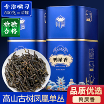  Qihong Duck shit fragrant Phoenix single-leaf Tea Premium Chaozhou Summer and Spring Tea Phoenix single-leaf gift box canned tea 500g