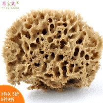 Imported Greek natural seaweed sponge honeycomb Art paint painting brush color diatom mud tool non-bath brush