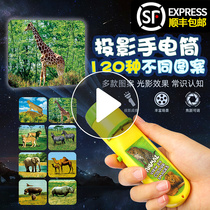 Projector Childrens Fun flashlight bedtime animation early education story glowing flashlight animal Starry Sky educational toy