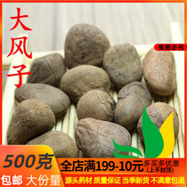 Chinese herbal medicine big maple with strong gale rice Kangeggi tailing garwood 500 gr full of two