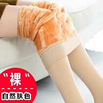 Japanese Spanking Pants Plus Suede Thickened Light Leg Naked Sensation high waist tight and warm even Sox Sox women outwear anti-seduces