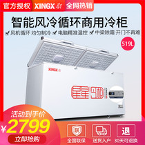 XINGXINGXING BD BC-519E Large freezer Commercial freezer Large freezer horizontal single temperature refrigerator