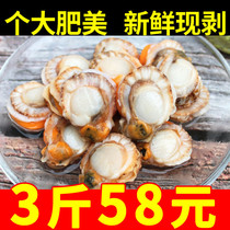 3 catties of scallop meat fresh and frozen fresh large scallop meat quick-frozen fresh seafood garlic vermicelli large fresh scallop meat