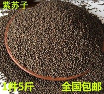Perilla seed Perilla seed Bird food feed Parrot canary hibiscus bird Jade bird Yellow bird bird food White perilla seed