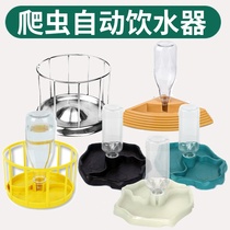 Tortoise basin Lizard climbing pet reptile feeder Yellow edge automatic drinking water drinking water turtle snake water storage plate food basin