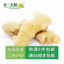 (Old one fresh) Shandong old ginger ginger fresh ginger 500g