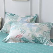 Cotton pillowcase A 13372 high density 100% cotton Nordic green leaf envelope 48 * 4cm pillow cover