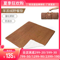 Pastoral flute outdoor picnic cushion tent cushion anti-damp cushion thickened sepal fluffy soft imitation lamb suede blanket atmosphere