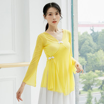 Classical Dance Yellow Sweater Could Conquer Chinese Body Dance Base Training Girls Art Costume Pure Color