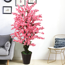 Field Park Emulation Plant Fake Potted Plastic Peach Blossom Tree Living Room Furnishing With Ground Flower Fake Flowers Indoor Decoration Anti-Real Flowers