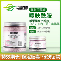 Xianpao 4% Tiofuamide small powder medicine Blight black rot multi-meat flower medicine small powder bottle soil fungicide