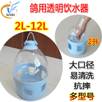 Quality pigeon drinking water for waterfowl drinking water kettle Sink Pigeon equipment Xinsi pigeon supplies utensils heater