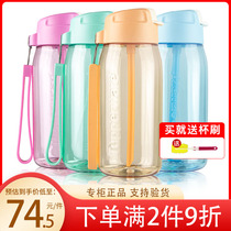 Tupperer C straw Cup 550ml leak-proof doodle Penguin Cup portable Sports Cup official flagship official website