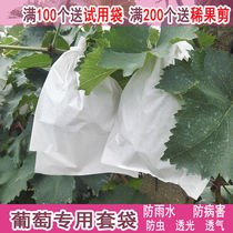 Grape bag cover special bag Open-air grape special bag Grape paper bag Grape bag Grape bag anti -