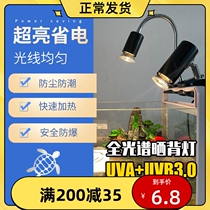 Turtle Sun Back Lamp Heating Insulation Lamp Uva Uvb Sun Light Climbing Darling Heating Tortoise Vat Light Insulated Calcium Supplement