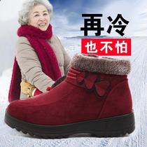  Plus velvet warm old man cotton shoes womens winter old Beijing old cloth shoes plus velvet non-slip snow boots thickened mother shoes