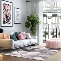 Heng Private India imported hand-woven carpet New Zealand wool Living room sofa Coffee table mat study Nordic ins